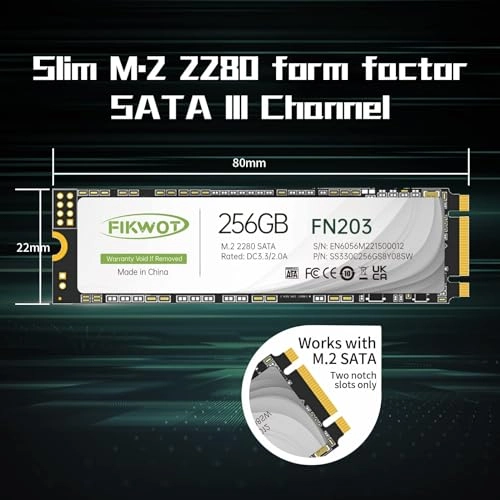 FN203 - 256GB M.2 2280