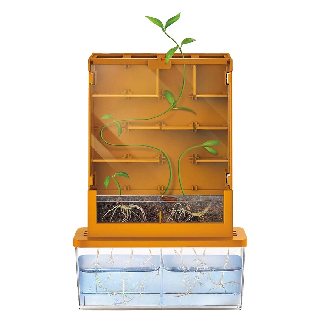 4M Grow- A-Maze Plant Biology - 3 years+