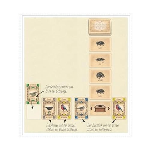 Piepmatz: Little Songbirds - Card Game