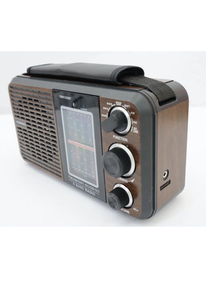 FM/AM/SW Radio & Music Player - Portable