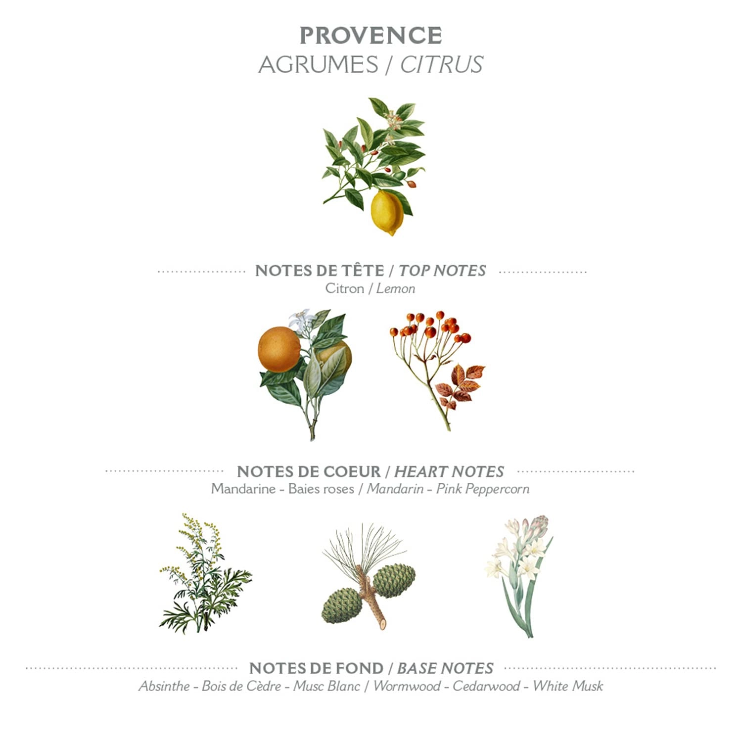 Provence Eau de Toilette 10ml