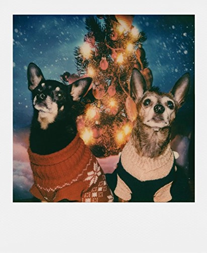 Color 600 - 8 pieces