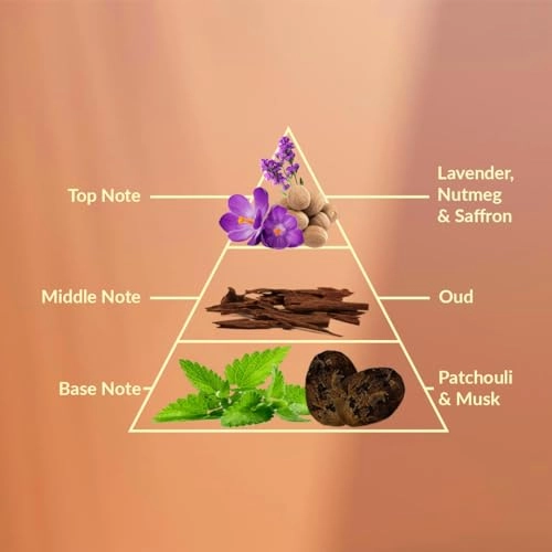 Oud Desert Gold Eau de Parfum 100ml