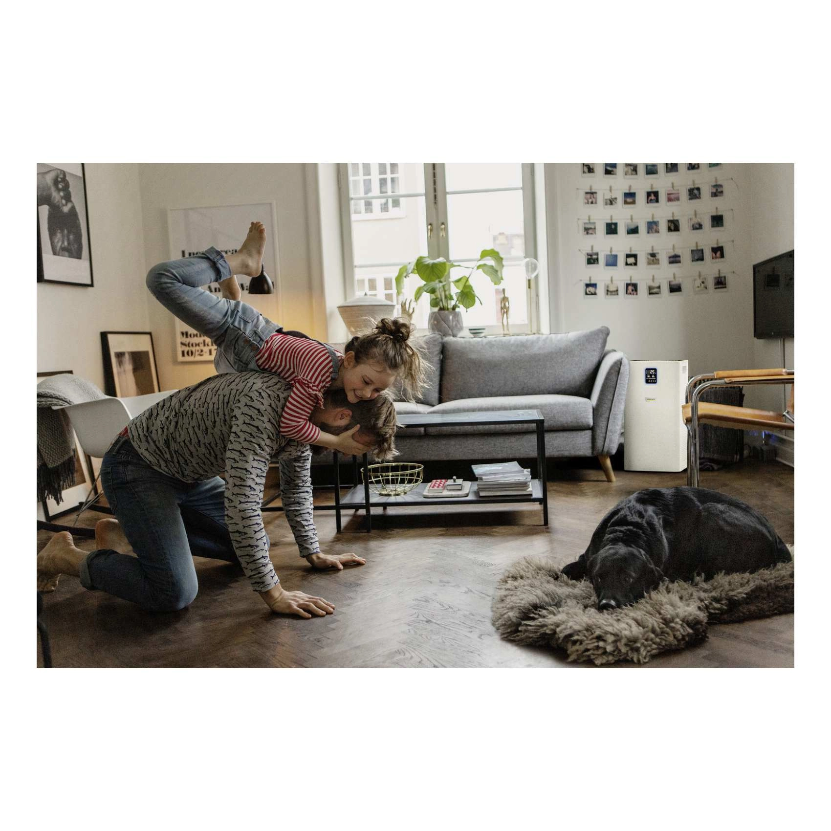 AF 50 - Temperature Display White