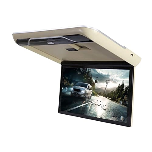Car Ceiling Display - 19 Inch