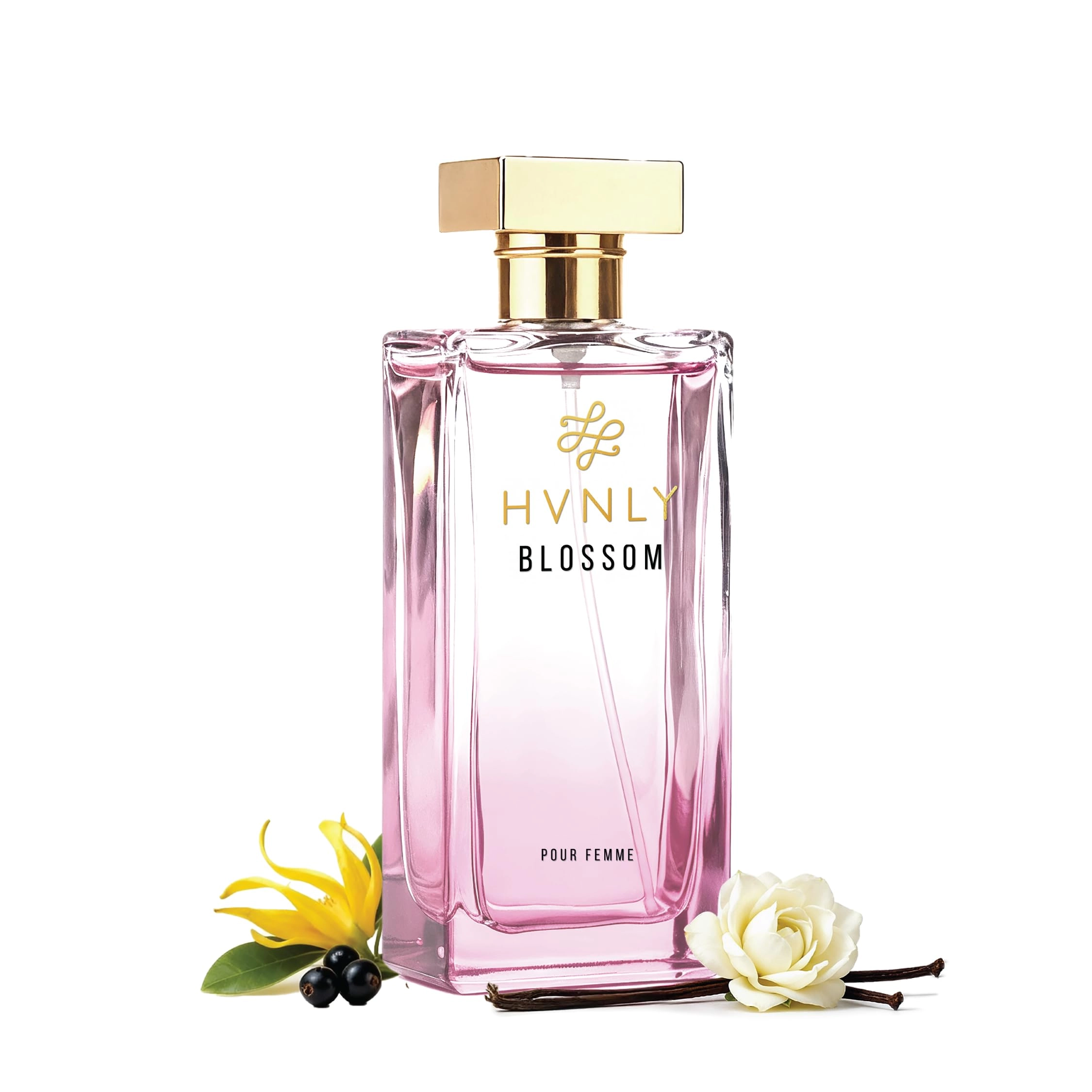 3003BC lifestyle Pvt Ltd Blossom Eau de Parfum 100 ml