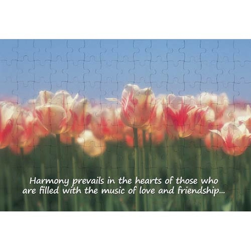 Ajooba Dubai Love Friendship Puzzle (2251)