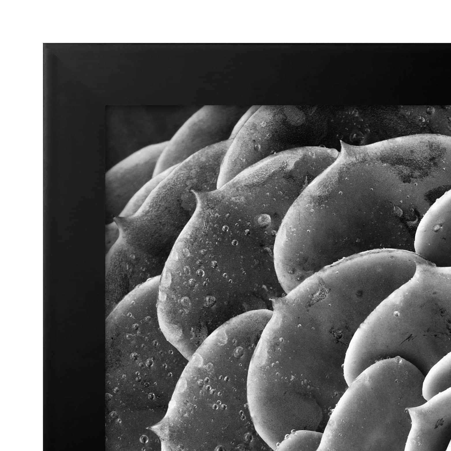 Poster Frame - 22X34