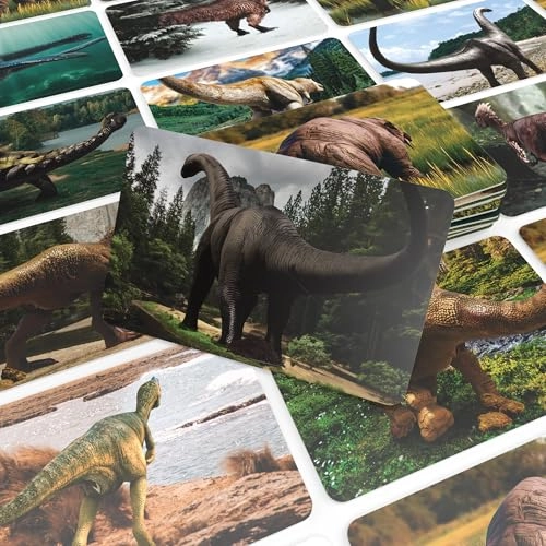 Name That Bumhole: Dino Edition - Card Game