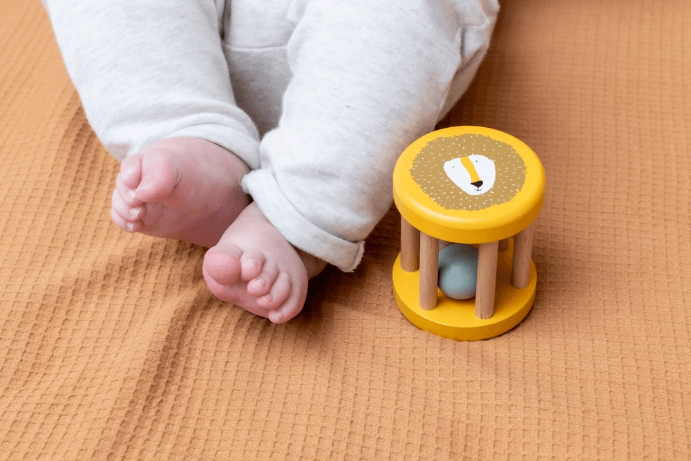 Wooden Rolling Rattle - 6 months wooden Mr. Lion