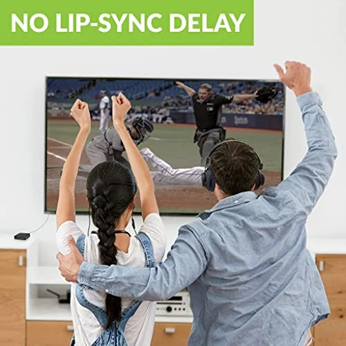 D4169 Wireless Headphone