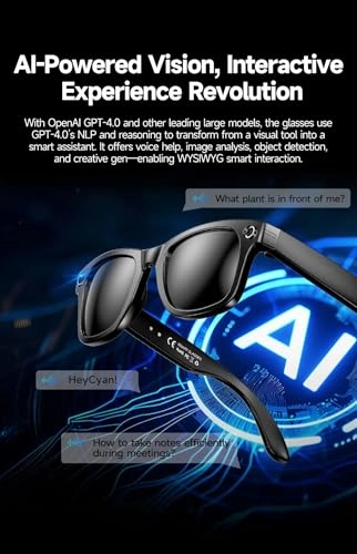 AI Smart Glasses - Real Time Translation Voice Assistant