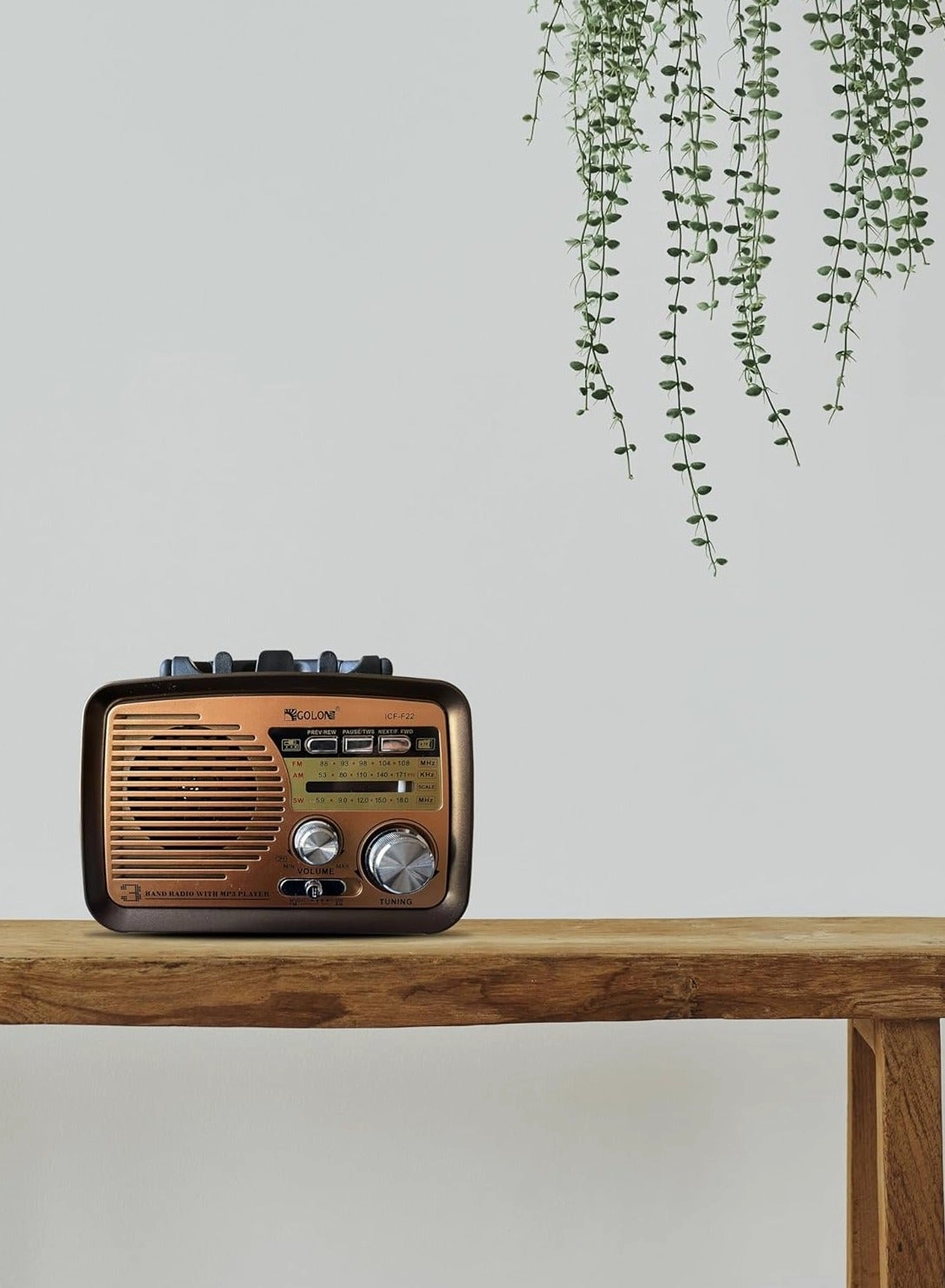 ICF-F22 - 3-Band Radio