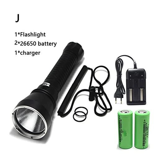 Professional Submersible Light - 4000 Lumens IPX8