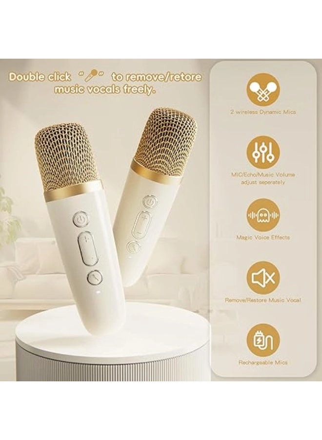 Karaoke Machine - 1 Wireless Microphones