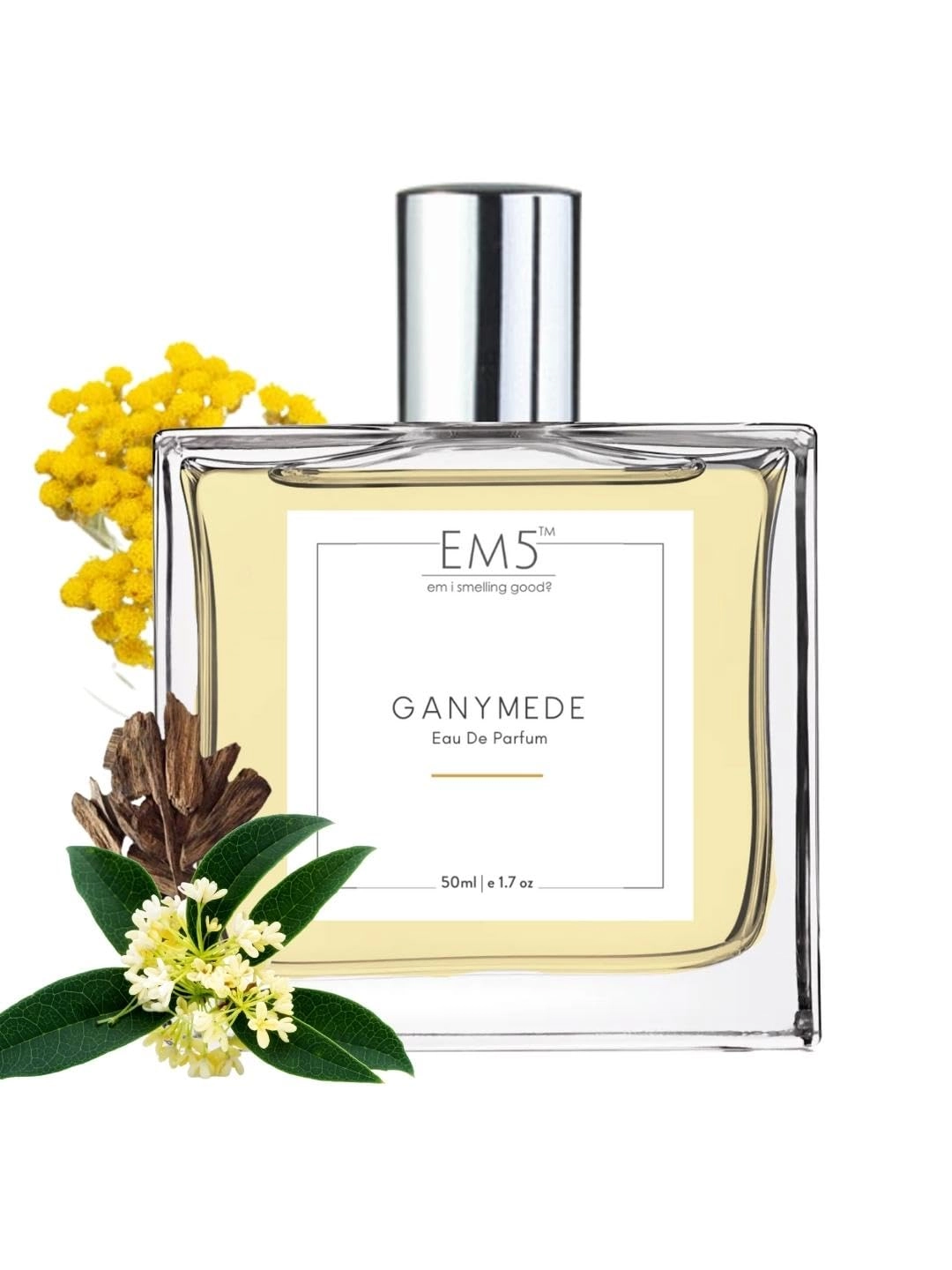 House Of Em5 Ganymede Eau de Parfum 50 ml