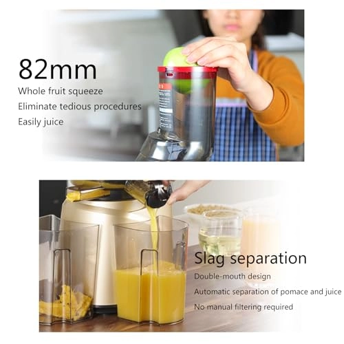 Juicer Machine - 250W