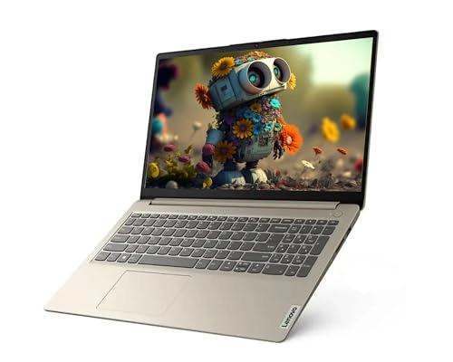 IdeaPad - 15.6'' 16GB 256GB + M.2 NVME SSD Enclosure Adapter + 128GB NVME Disk + Foldable Adjustable Phone/Tablet Holder + 65w Mecha Data Cable + USB/Type-C 4-IN-1 HUB + LIONEYE USB Extension Cable