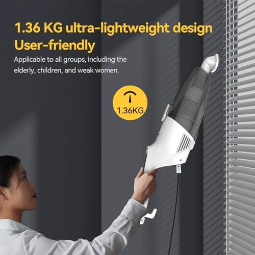 DX120C - 2-in-1 Handheld & Stick