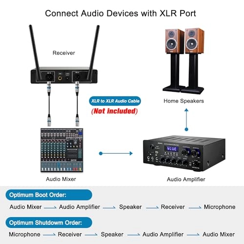 VW-022N XLR Microphone