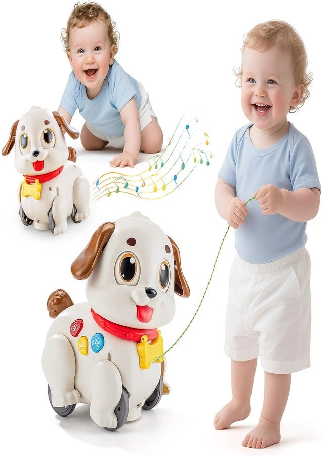 HOLA Musical Dancing Puppy - 6-12 Months