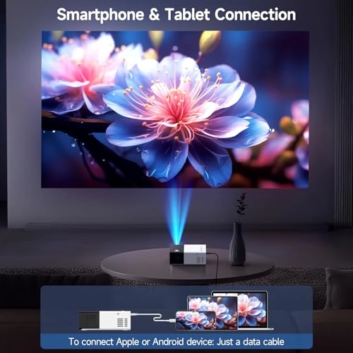 Projector - 1920 x 1080 Pixels