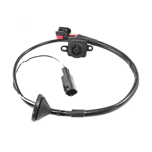 Rearview Camera - Night Vision