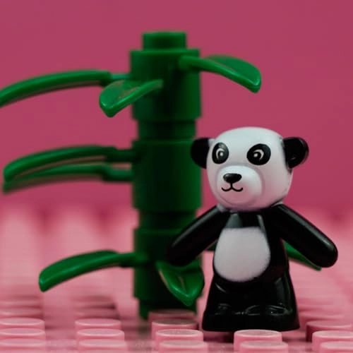 Friends Animals Figures Set - Animals 72pcs