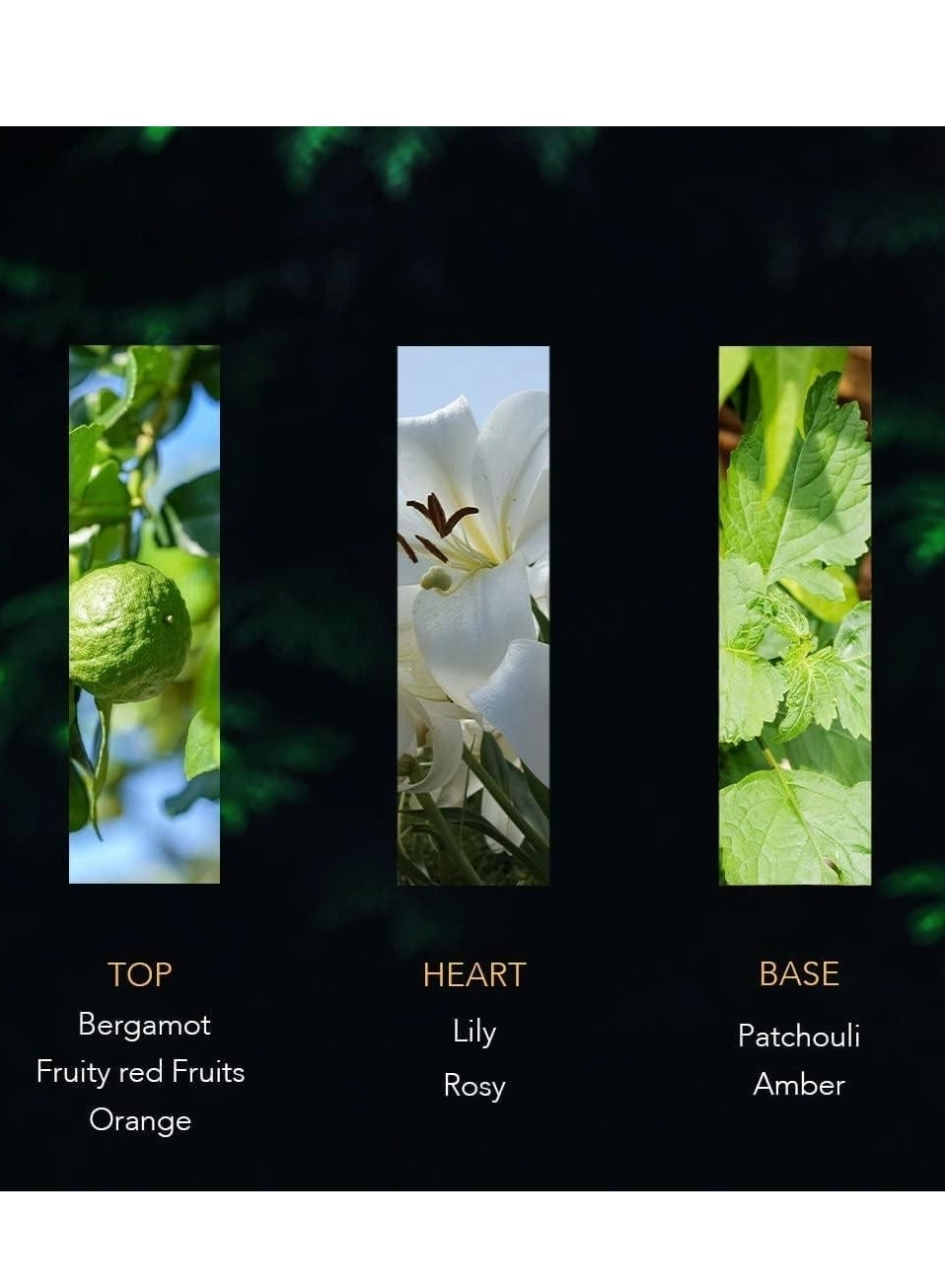 Shabab - Eau de Parfum 80ml