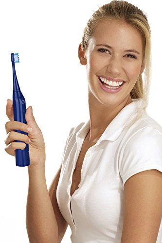 S430 - High Power Rechargeable 12 Brush Heads