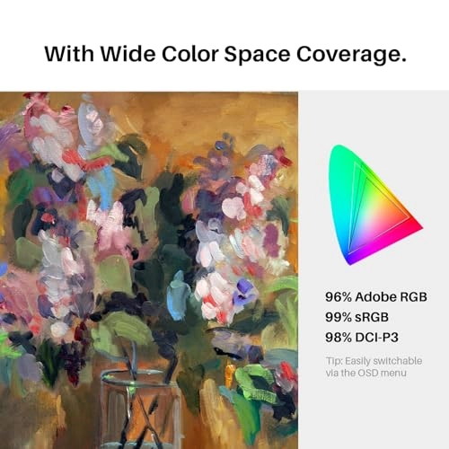 KAMVAS Pro 19 - 8192 Levels