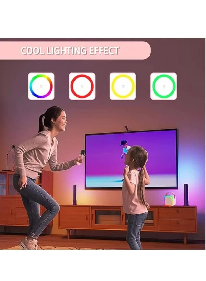 Karaoke Speaker Set - 2 wireless microphones