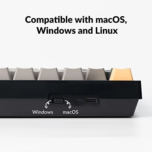 C2 Pro - Full Size Wired