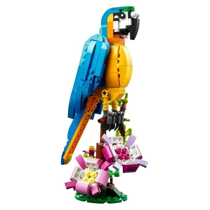 Exotic Parrot (31136) - 3-in-1 Creator Multicolour