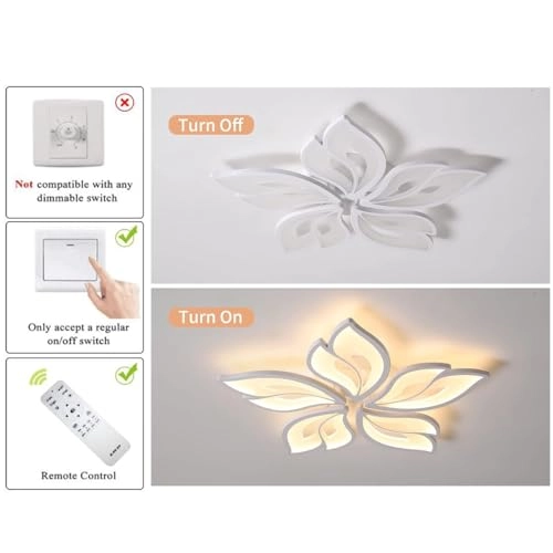 Modern Ceiling Light - 3000K-6500K Dimmable