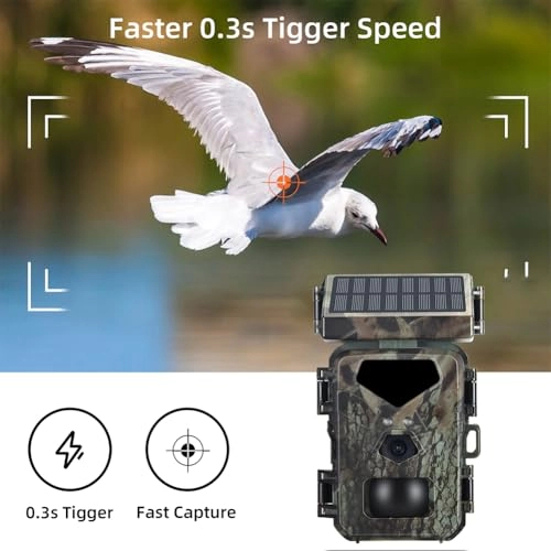 Trail Camera - 20MP