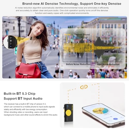 iRay DW10 - 1 Receiver 1 Microphone