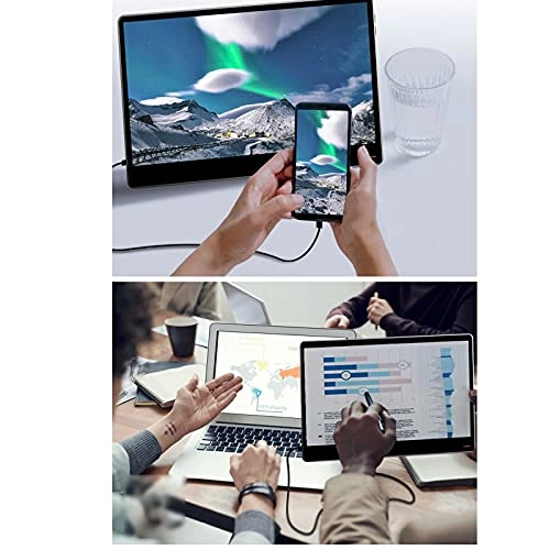 Portable Monitor - FHD 1080P 15.6"