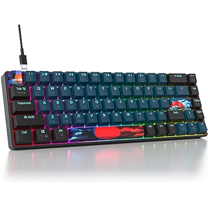 rayihni 65 Percent Mechanical Gaming Keyboard - Wired