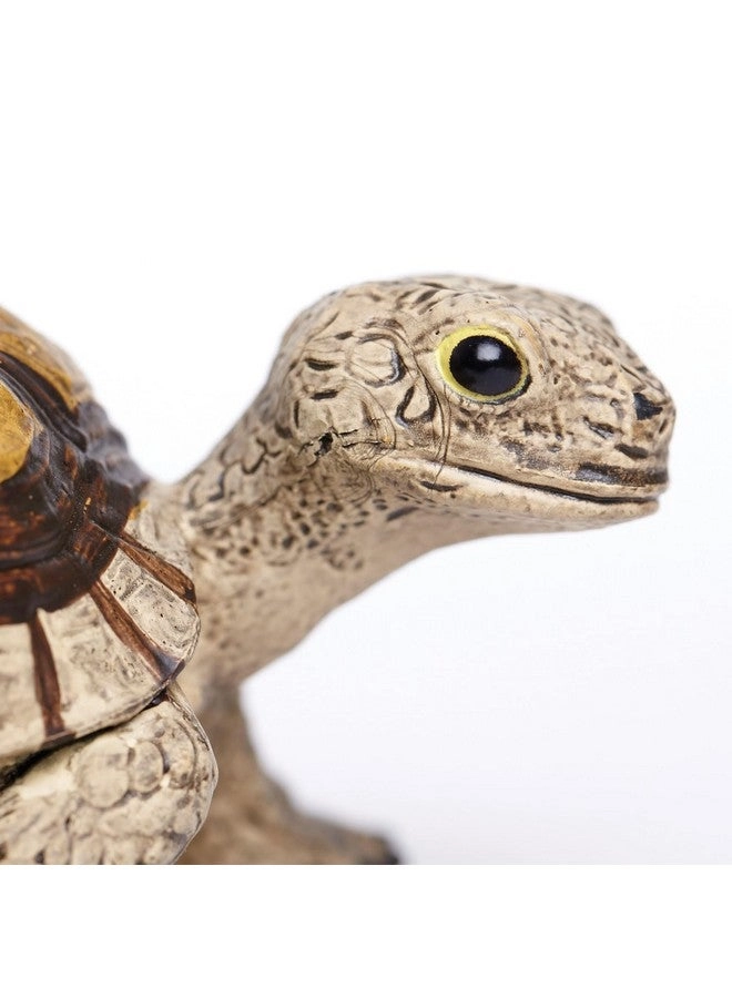 Incredible Creatures - Tortoise