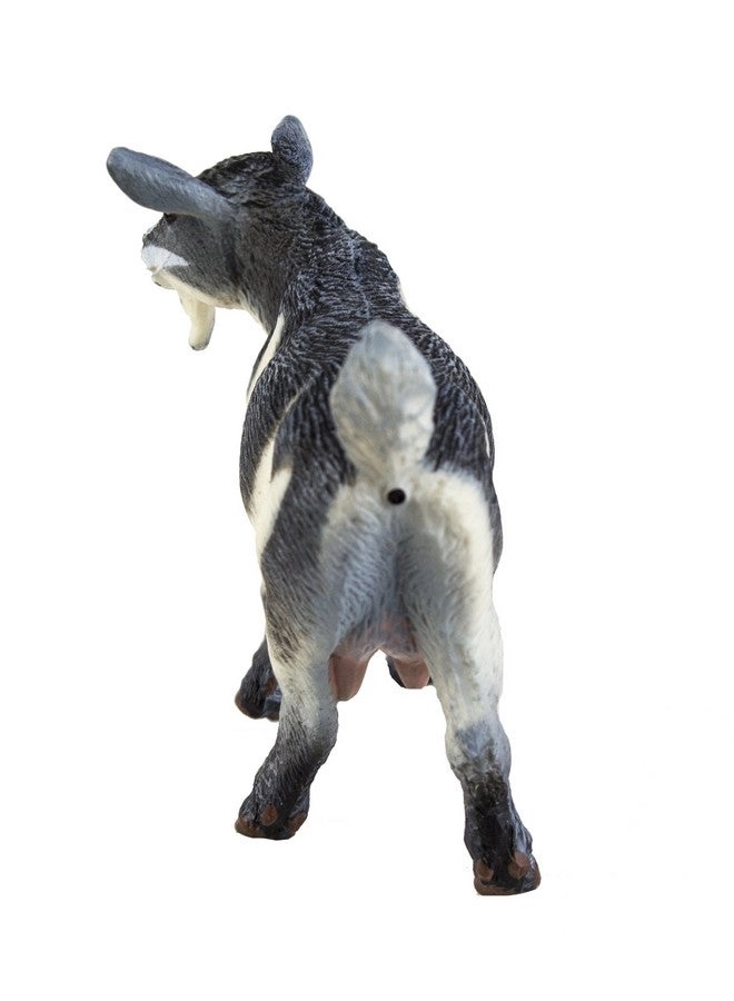 Safari Farm - Pygmy Nanny Goat