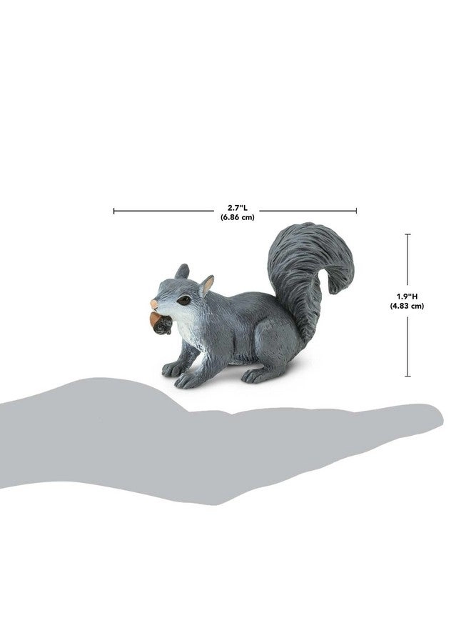 Wildlife - Gray Squirrel