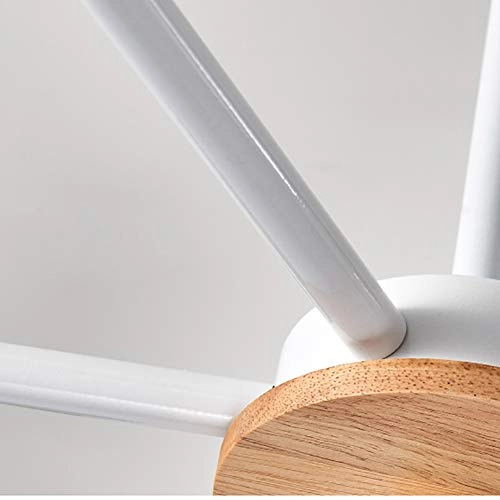 Ball Bubble Light Fixture - 6 head E27