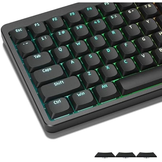 rayihni LOW PROFILE KEYCAPS - US LAYOUT