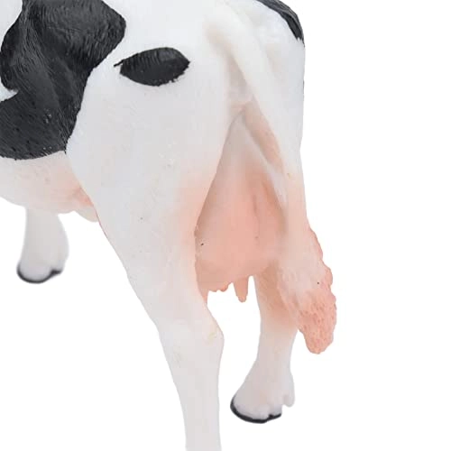 Simmental Cattle - 18 months - 3 years 1 1