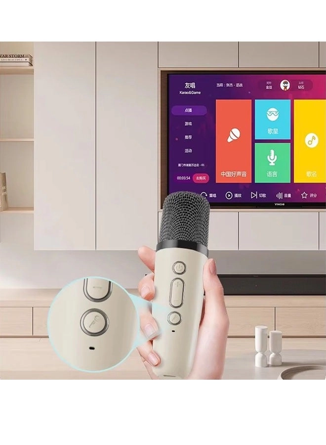 Karaoke Speaker Set - 2 wireless microphones