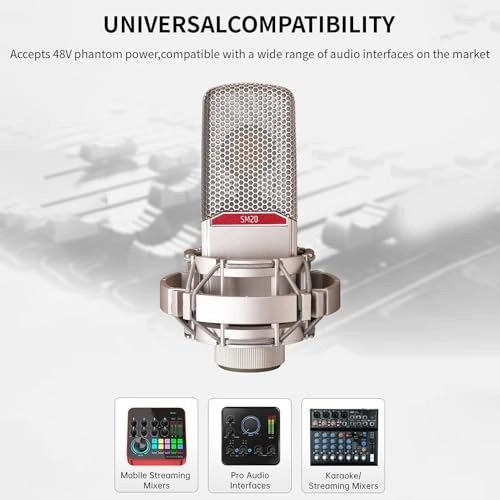 Studio Condenser Microphone XLR Microphone