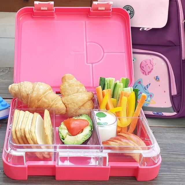 6 / 4 Compartment Bento Lunch Box - Tropical - Pink 350 ml