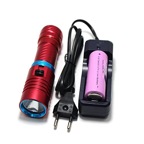 Professional Submersible Light