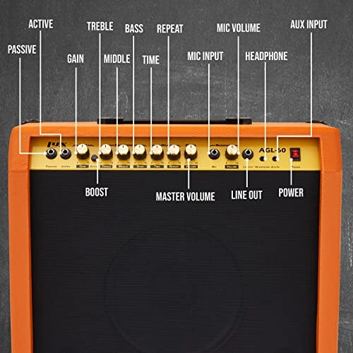 Electric Guitar Amplifier - 60W 10" 4-Ohm Speaker